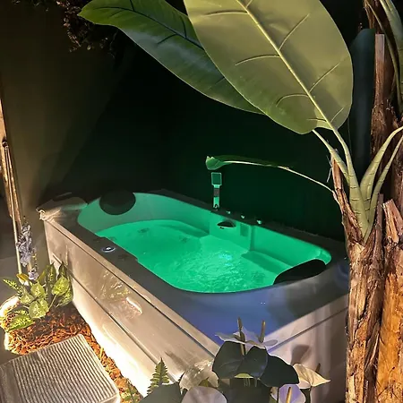 Evasion Tropicale A Deux Pas Du Centre Lejlighed *