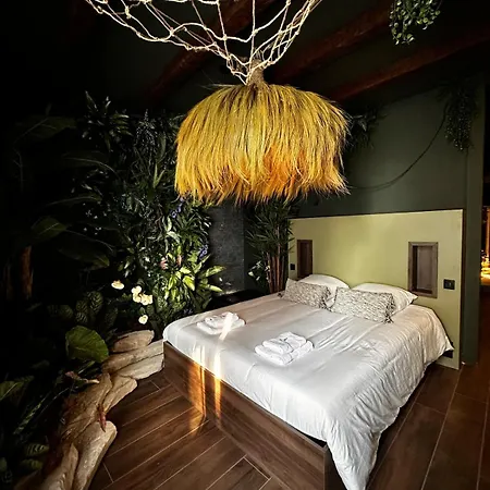 Evasion Tropicale A Deux Pas Du Centre Lejlighed Niort