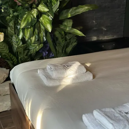 Evasion Tropicale A Deux Pas Du Centre * Niort