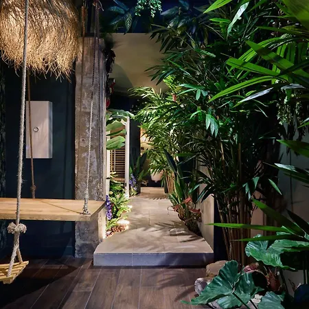Evasion Tropicale A Deux Pas Du Centre Appartement *