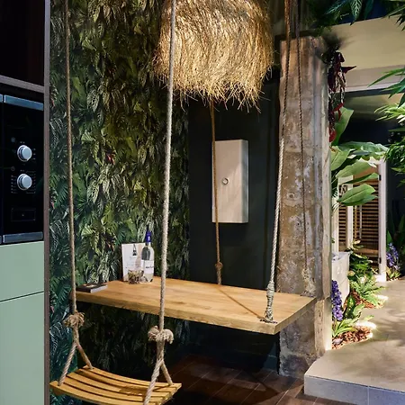 Appartement Evasion Tropicale A Deux Pas Du Centre Niort