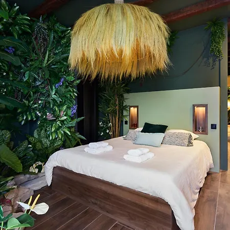 Appartement évasion Tropicale à Deux Pas Du Centre Niort