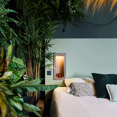 Evasion Tropicale A Deux Pas Du Centre Appartement Niort
