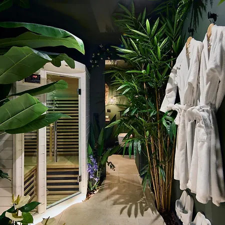 Evasion Tropicale A Deux Pas Du Centre Niort