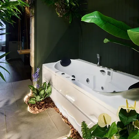 Evasion Tropicale A Deux Pas Du Centre